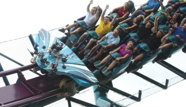 Latest roller coaster death puts spotlight on lap-bar design