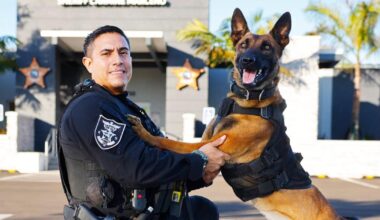 Lee County Sheriff's Office: K-9 Dundee's death appears to be medical, report pending | News