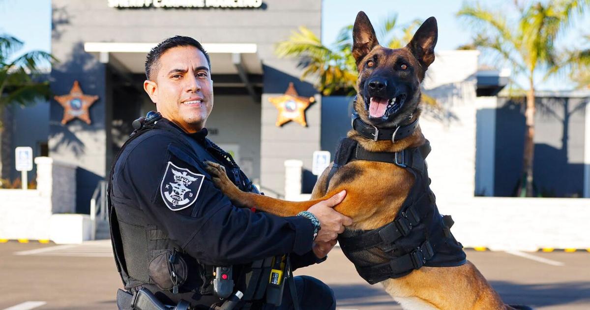Lee County Sheriff's Office: K-9 Dundee's death appears to be medical, report pending | News