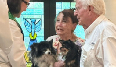 Saint Christopher’s invites Key Biscayne pets to annual blessing | Key Biscayne