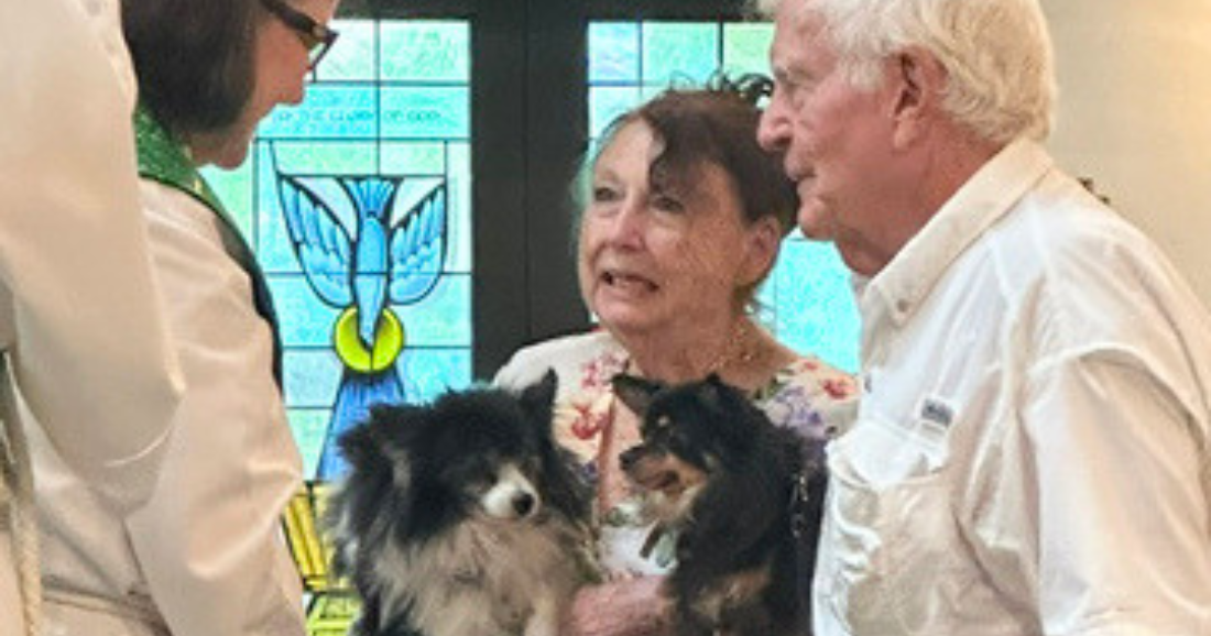 Saint Christopher’s invites Key Biscayne pets to annual blessing | Key Biscayne