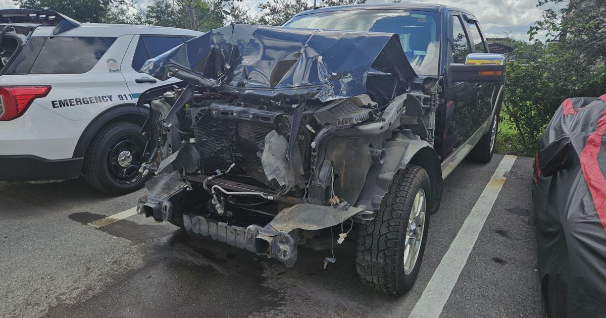 Florida's new crash law: what mechanics say drivers need to know | Lee County