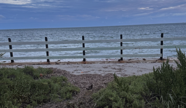 Overcast Saturday ahead for Key Biscayne | Key Biscayne