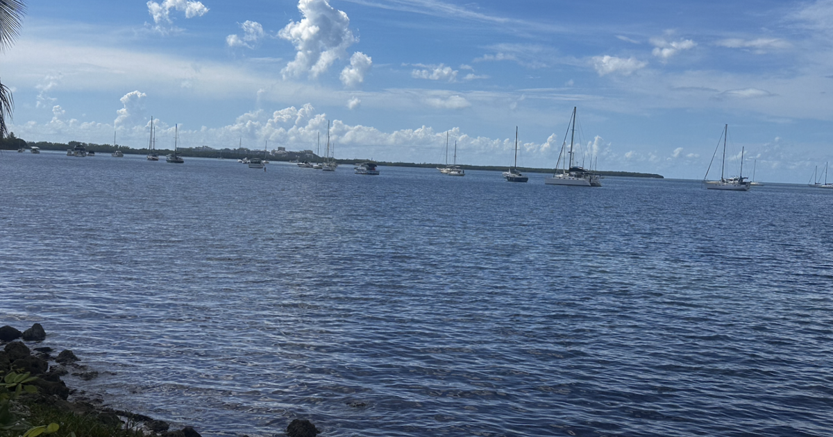 Dry start to Key Biscayne’s workweek | Key Biscayne