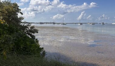 Another mostly dry day for Key Biscayne Tuesday | Key Biscayne