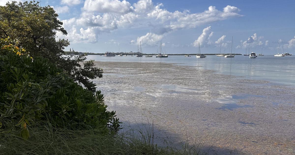 Another mostly dry day for Key Biscayne Tuesday | Key Biscayne