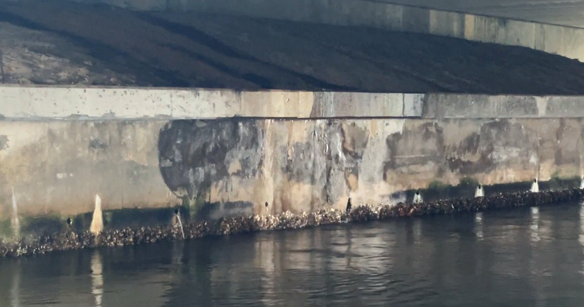 Cape Coral water leak fixed after months of wasted water | News