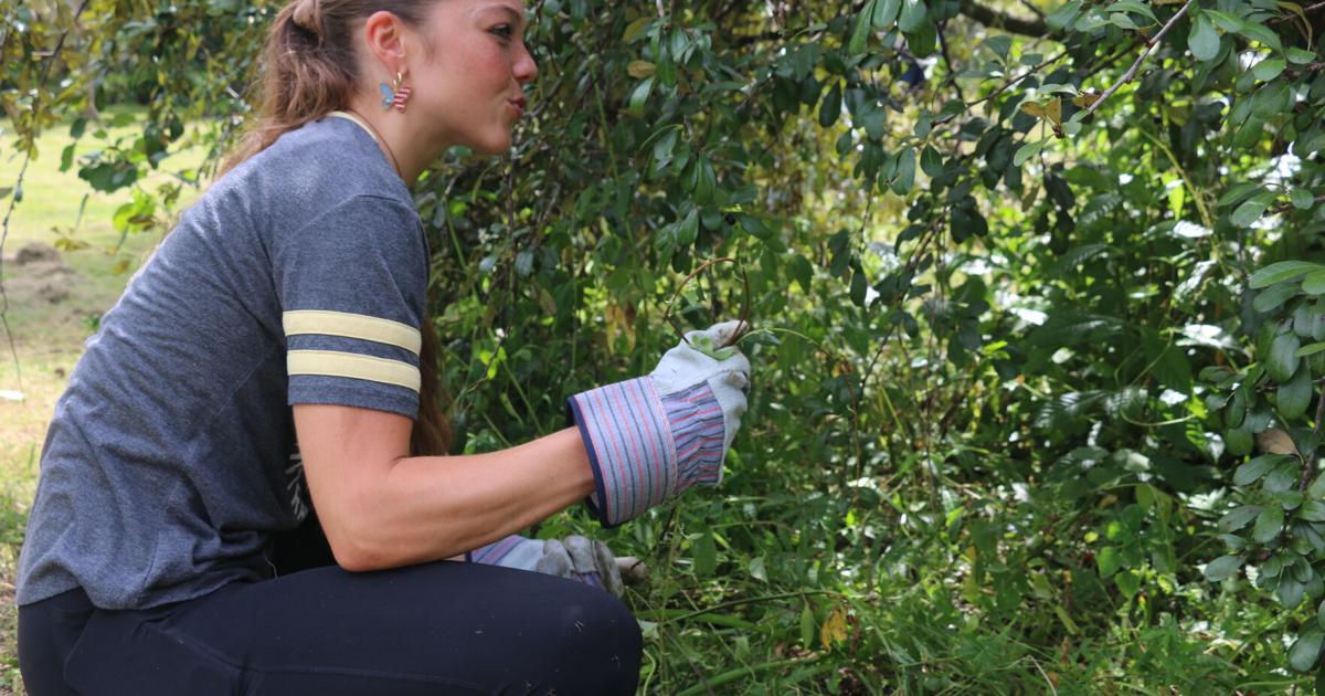 The hands behind UCF’s campus beauty | Multimedia