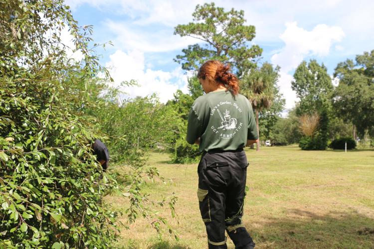 The Hands Behind UCF’s Campus Beauty