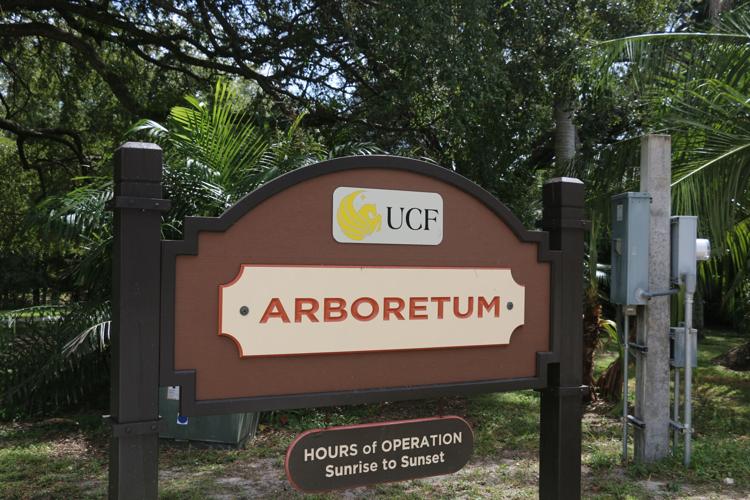 The Hands Behind UCF’s Campus Beauty