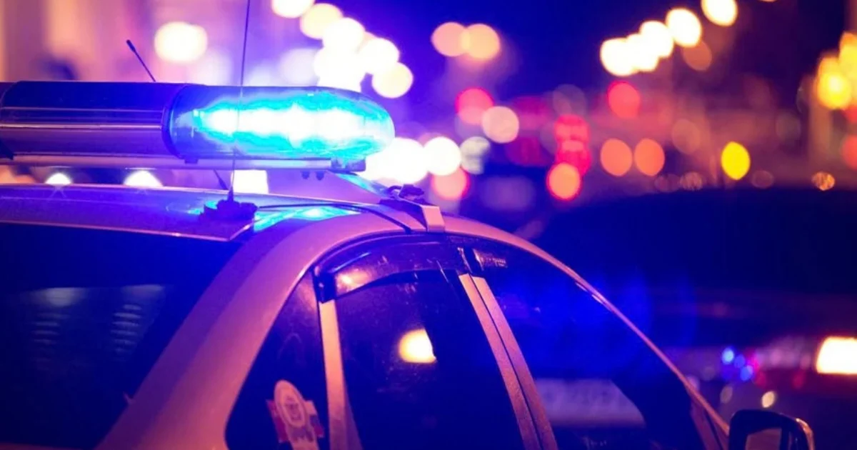 Fort Myers man arrested after pointing gun at officers | Crime