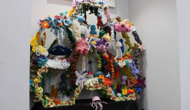 UCF crochet coral reef raises awareness of threats to coral ecosystems | Life