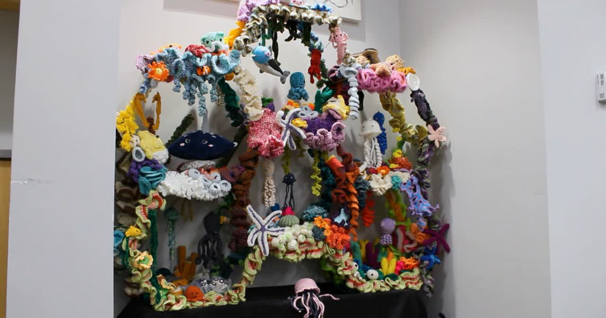 UCF crochet coral reef raises awareness of threats to coral ecosystems | Life
