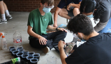 UCF students compete to grow plants in lunar and Martian dirt | News