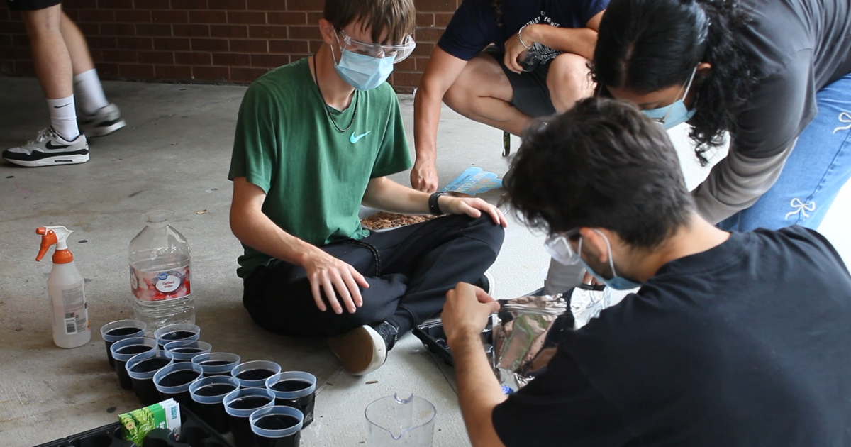 UCF students compete to grow plants in lunar and Martian dirt | News
