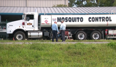 Florida dengue cases hit 368 as Pinellas County becomes new hotspot | News
