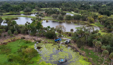 Fort Myers crews clear Billy Creek as pollution levels improve | News