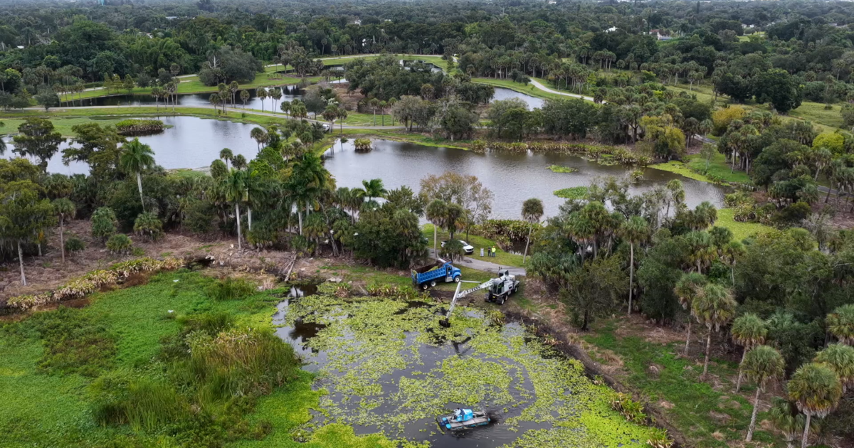 Fort Myers crews clear Billy Creek as pollution levels improve | News
