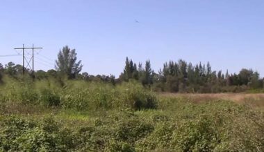 Cape Coral neighbors fear pollution from possible waste facility