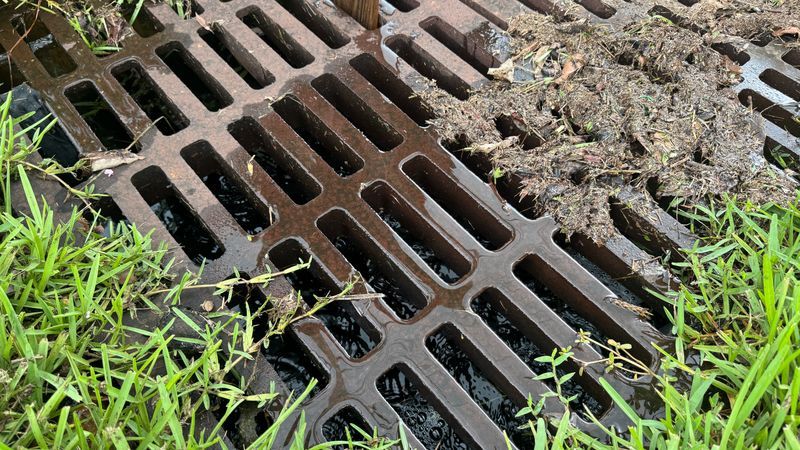 Residents in Indiantown's Booker Park neighborhood are cleaning up flooded homes and cars after several inches of rain turned streets into what neighbors described as a lake Saturday. (WPEC)