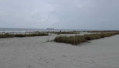 Dredging project impacting Bowditch Point Beach gets underway