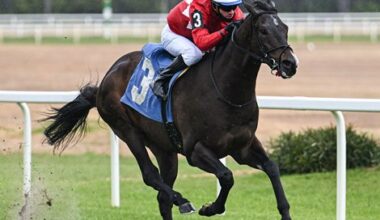 Tampa Bay Downs Moves Two Stakes to Sam F. Davis Day