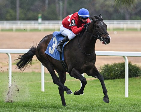 Tampa Bay Downs Moves Two Stakes to Sam F. Davis Day