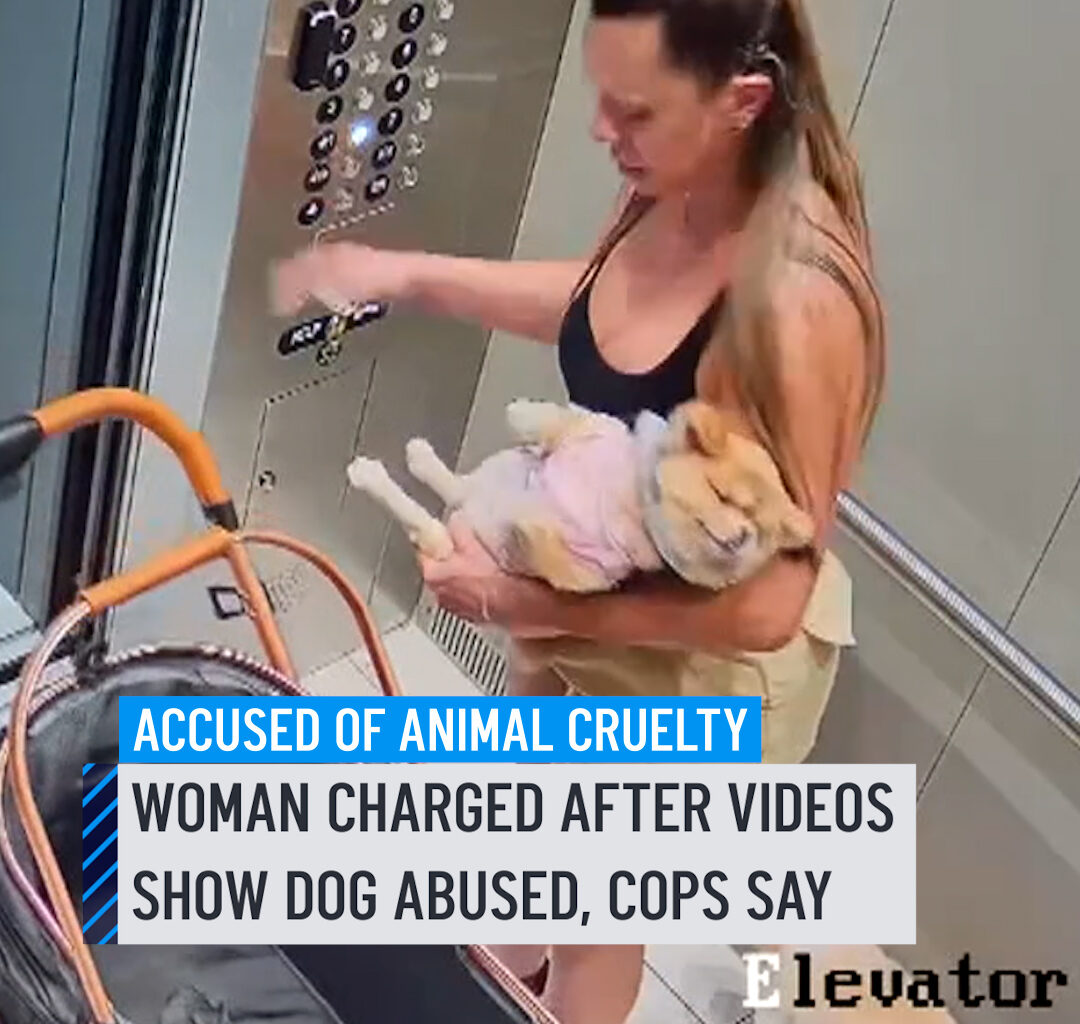 A woman is facing animal cruelty charges in Hialeah after videos showed her allegedly abusing a dog, police said. Miriam Yilian De La Rosa, 42, was booked into jail early Friday on three counts of animal cruelty, records showed. Surveillance footage released by police showed De La Rosa outside the building with three small dogs including two in a stroller and one on a leash. At one point, as De La Rosa is opening a door, the dog on the leash is able to get free and run down the sidewalk, as she chases after it and it able to grab it. #hialeah #dog #caughtoncamera #animal