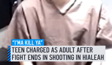 A 17-year-old is now being charged as an adult in connection with a shooting at an apartment complex in Hialeah last month that prompted a massive police response, records show. Michael Isaac Delgado, 17, was booked into the Metro West Detention Center on Tuesday to face adult charges that include one count of attempted second-degree murder, one count of shooting a deadly missile and two misdemeanors, records show. A second suspect, also 17, had been arrested in the incident but it's unknown whether he's being charged as an adult. #adult #teen #hialeah #charge