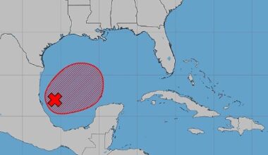 Will Gulf system become Tropical Storm Isias?