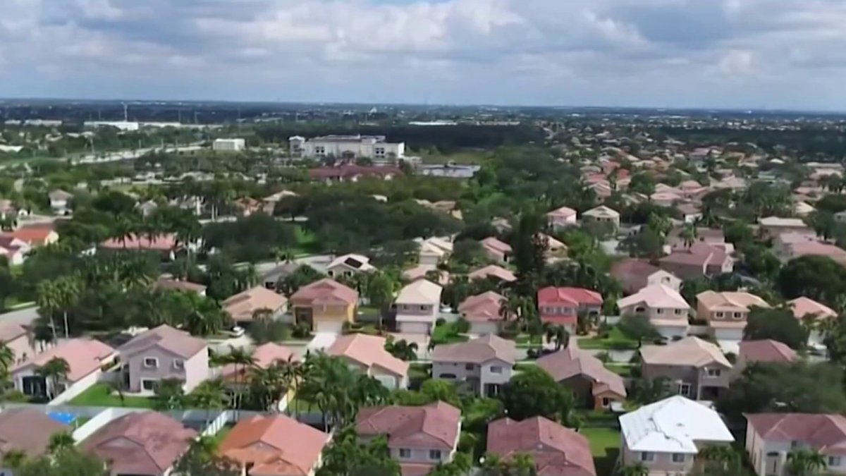 Florida Amendment 3: What a YES or NO vote would mean – NBC 6 South Florida