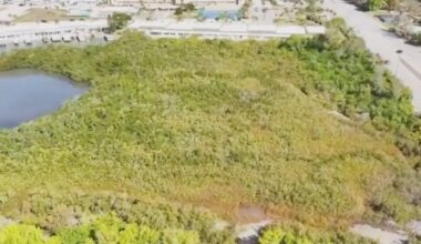 A local preservation group is urging Pinellas County to buy nearly 29 acres along Boca Ciega Bay, but a recent public meeting has prompted new questions about what public access and management of the land would look like. (WK Preservation Group)