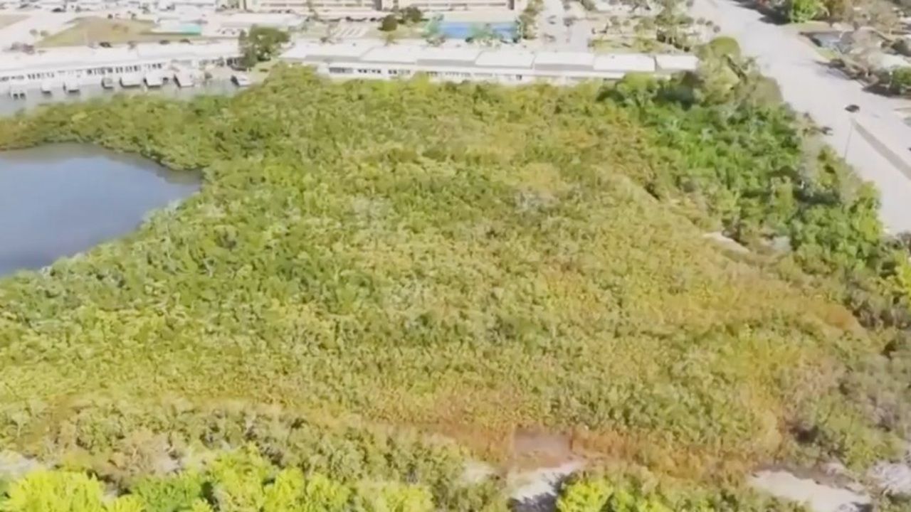 A local preservation group is urging Pinellas County to buy nearly 29 acres along Boca Ciega Bay, but a recent public meeting has prompted new questions about what public access and management of the land would look like. (WK Preservation Group)