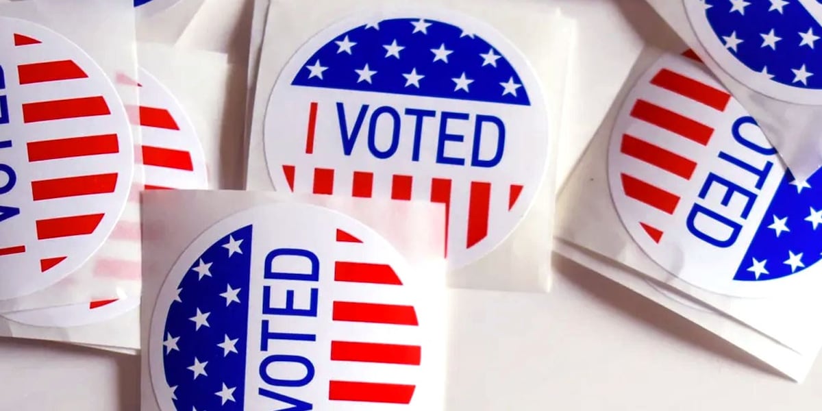 Leon County voters to decide on five charter amendments, one straw poll