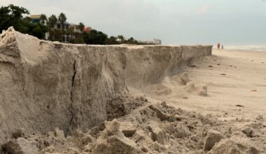 Pinellas beach nourishment helps coast during Isaias