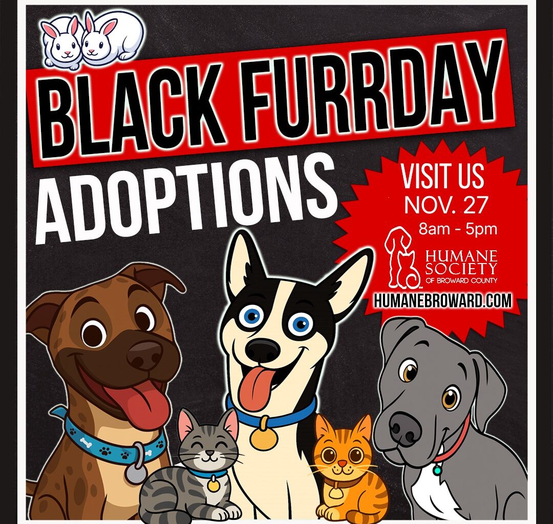 Black Furrday is Back at the Humane Society of Broward County