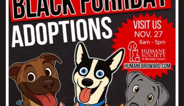 Black Furrday is Back at the Humane Society of Broward County
