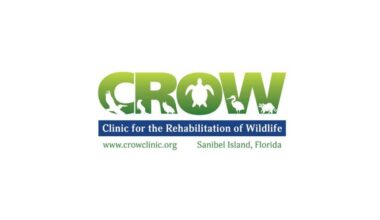 CROW to host free CROW-O-WEEN on Oct. 23 | News, Sports, Jobs