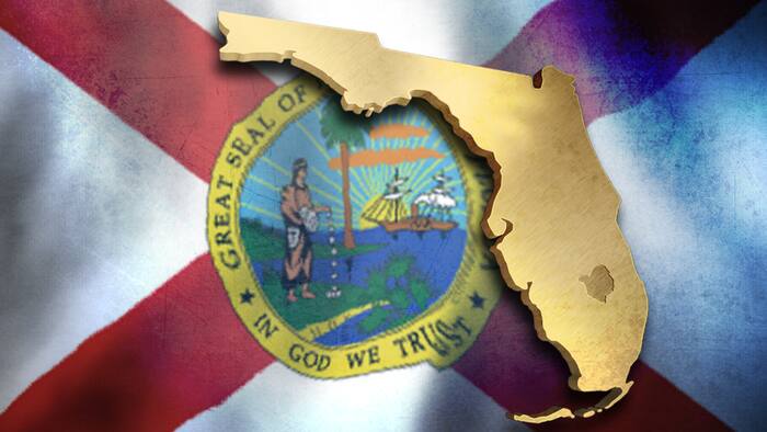 Here’s what to know about Florida’s newest amendment proposals