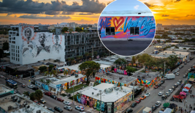 Wynwood Walls and Rockstar Games offer free admission for Miami locals through 2028 to celebrate new GTA 6 murals