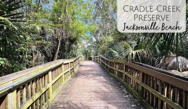 Cradle Creek Park and Preserve in Jacksonville, Florida