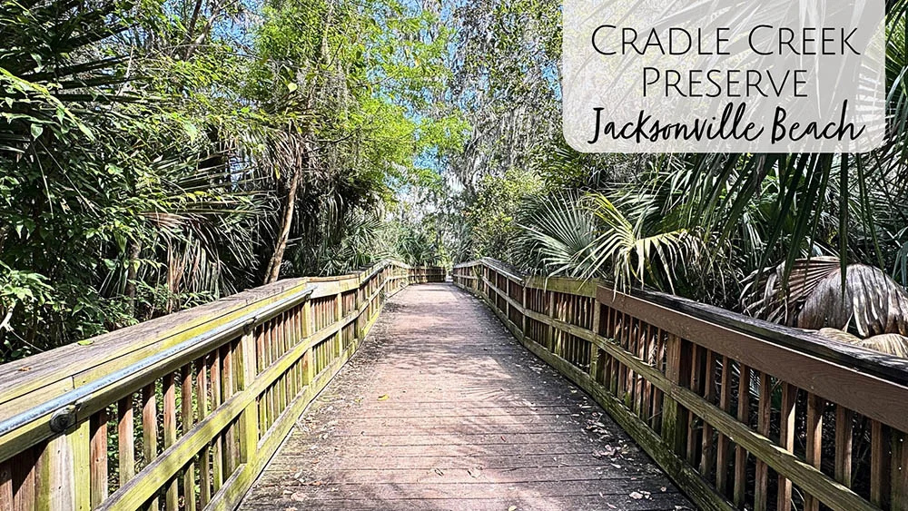 Cradle Creek Park and Preserve in Jacksonville, Florida