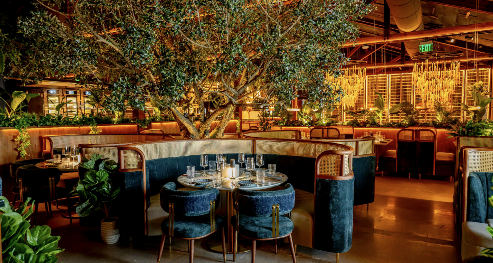 V Modern Italian, led by Michelin-starred chef, opens in North Hyde Park