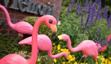 TMH Flamingo Challenge returns to help raise money for local breast cancer patients in Tallahassee