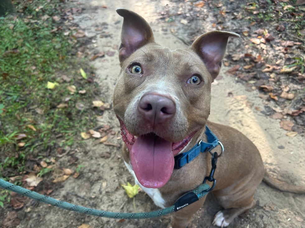 Alana has bursts of energy punctuated by bursts of cute-ness!