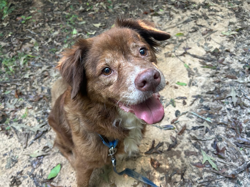 Sweet Marley Jane appreciates the kinder, gentler things in life!