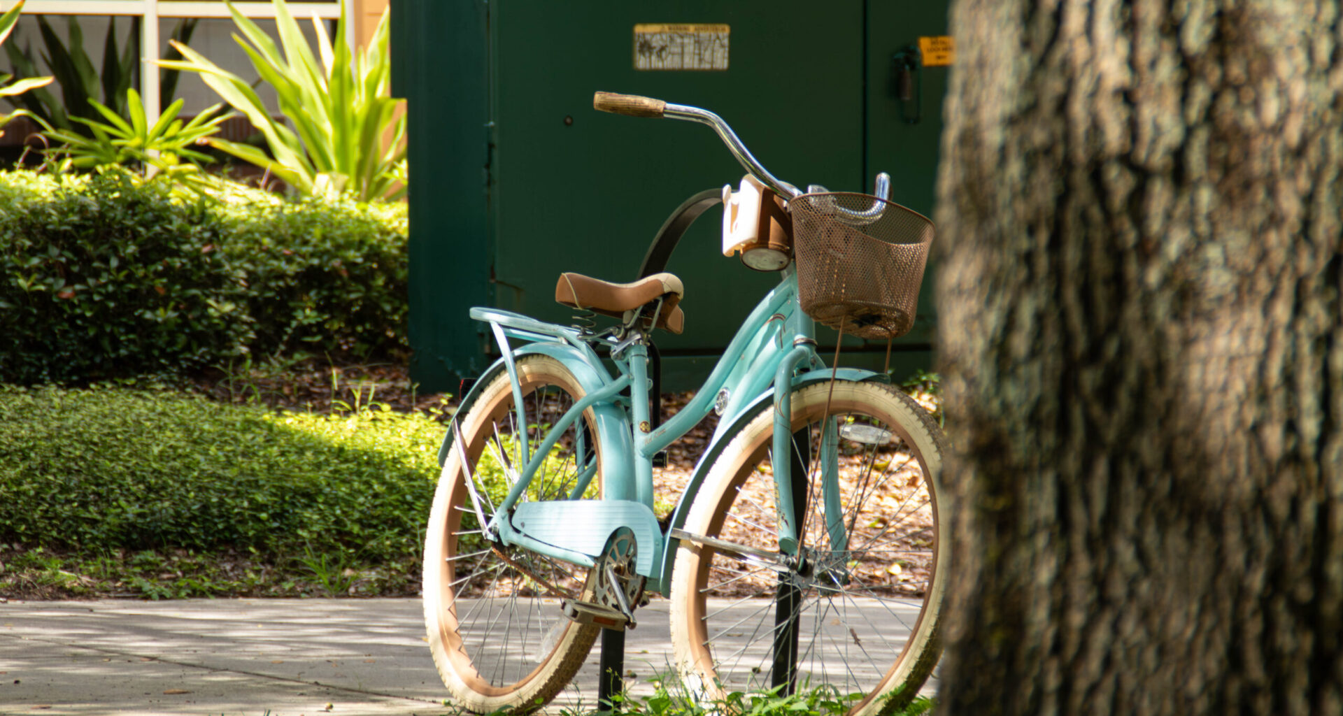 OPINION: “USF bikeman” brings real awareness to campus in an unconventional way