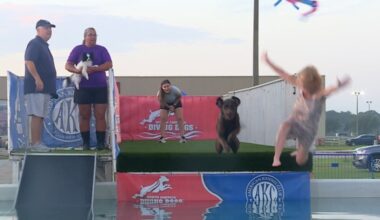 Treasure Coast families invited to watch and try dog sports at kennel club's Pirate Cluster