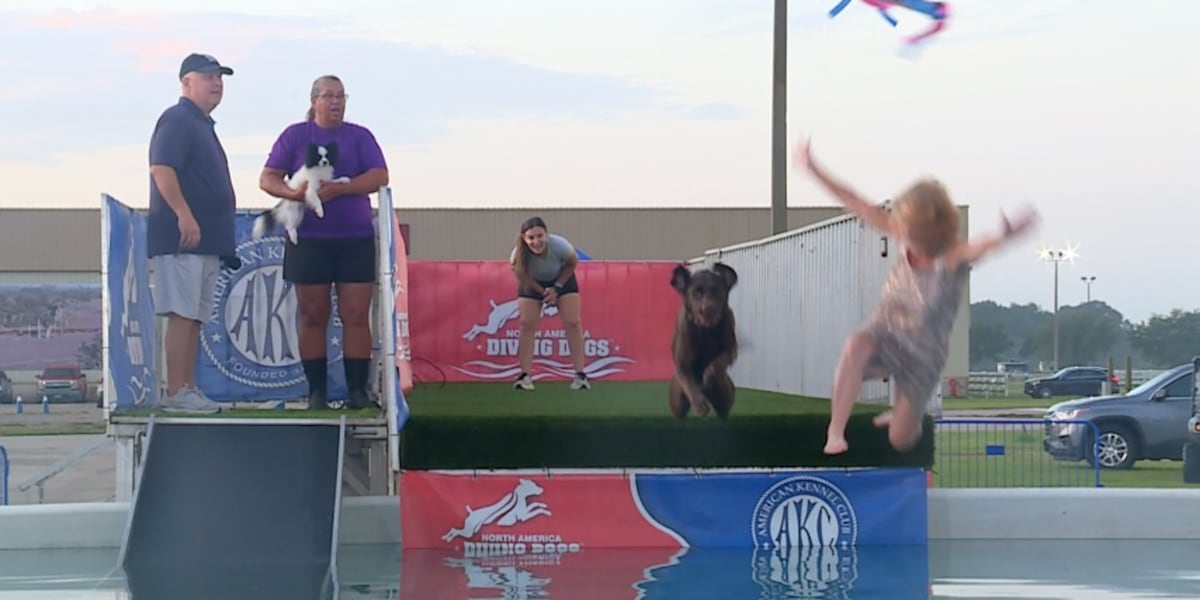 Treasure Coast families invited to watch and try dog sports at kennel club's Pirate Cluster
