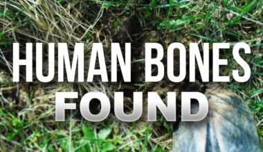 POLICE: Human skeleton remains found near U.S. 17 in Jacksonville